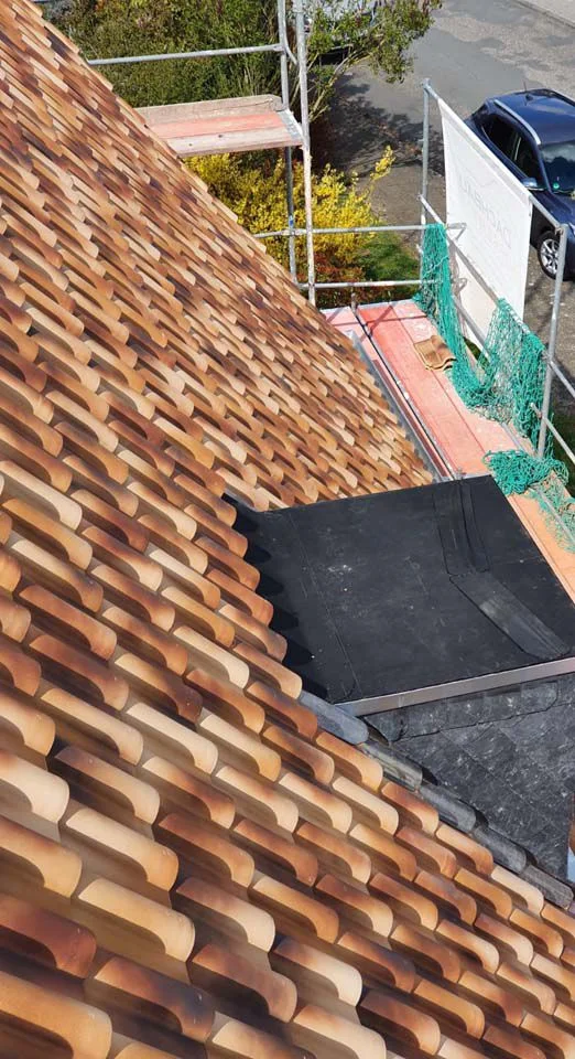 Bauverlauf 20042021 06 Dachbau Entstehung Gebaelk 03 Dachbau Bossert