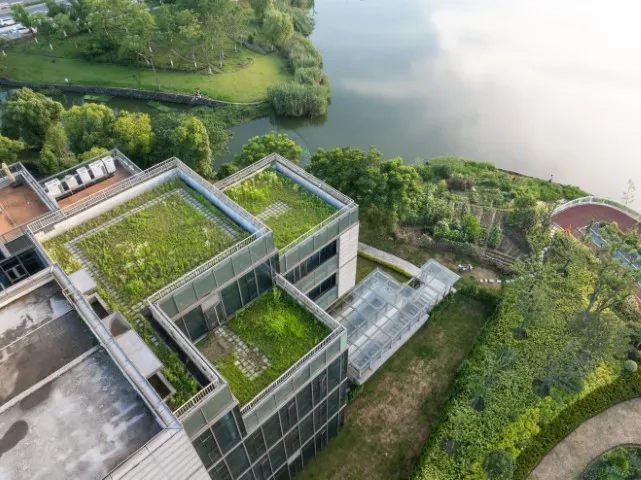 Luftaufnahme von drei Gründächern